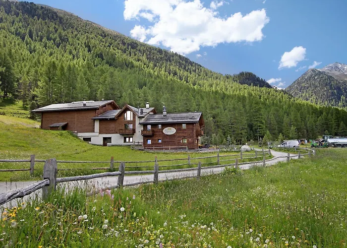 Agriturismo Bosco D\'Oro 4