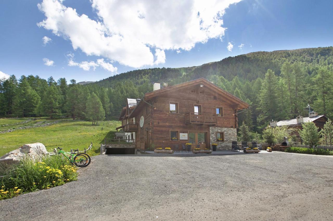 Agriturismo Bosco D'oro 4 Apartment