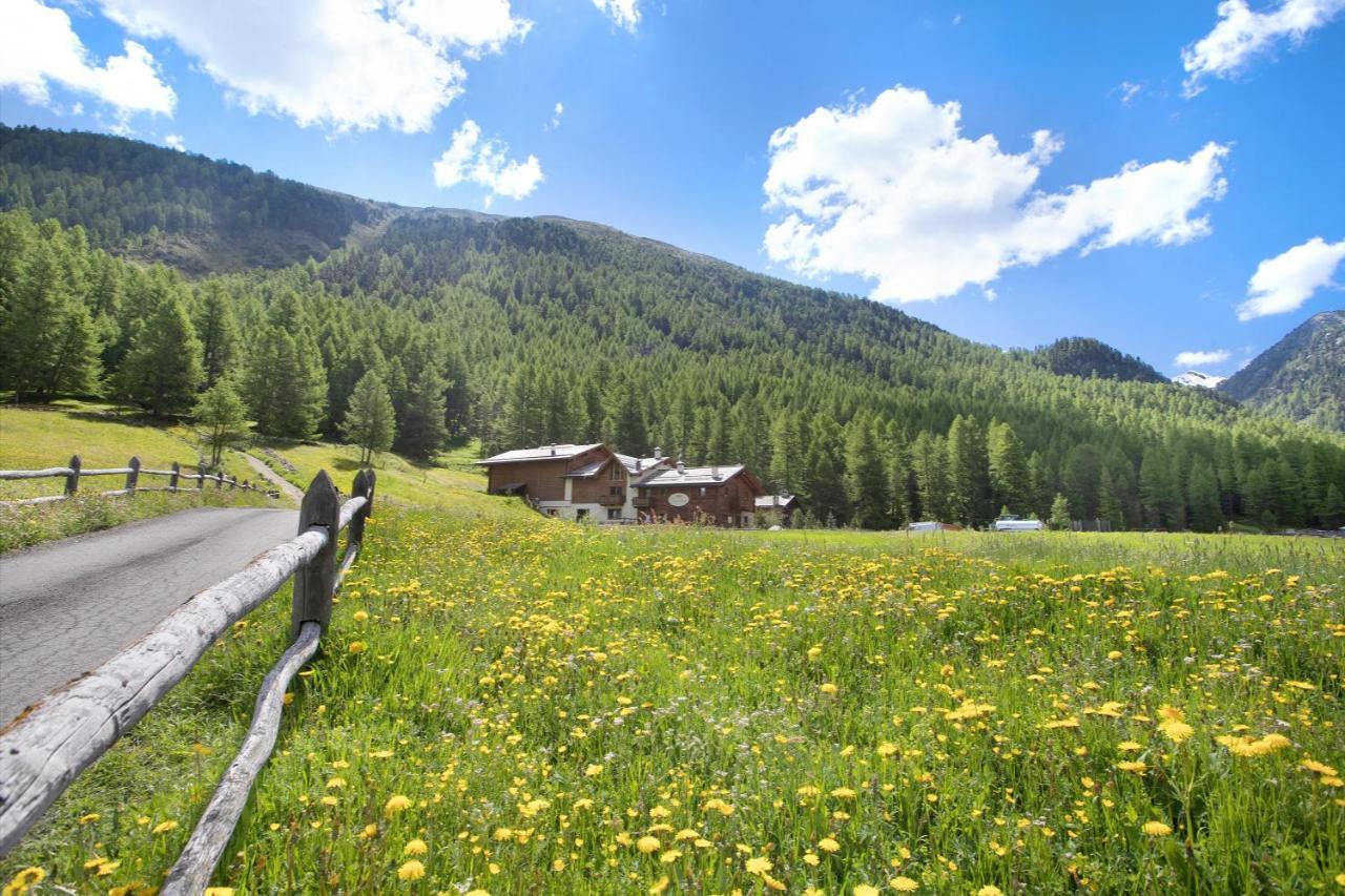 Agriturismo Bosco D'oro 4 Apartment