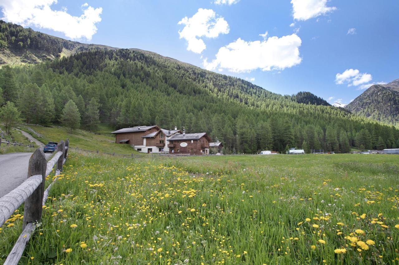Agriturismo Bosco D'oro 4 Apartment *